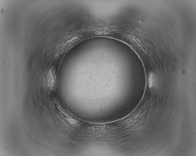 X0000086891444200704231116