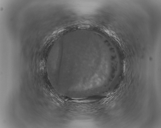 X0000086891445200704231116