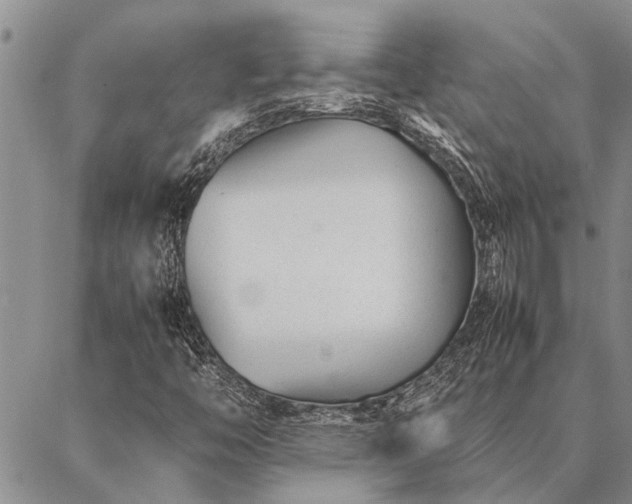 X0000086891446200704231116