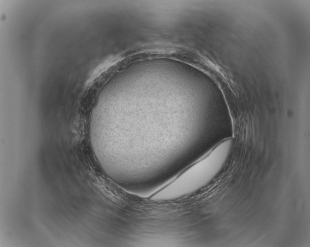 X0000086891448200704231116