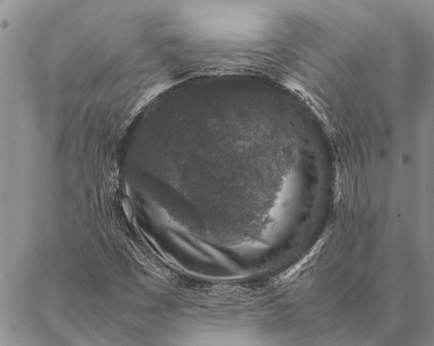 X0000086891449200704231116