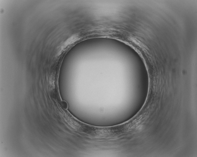 X0000086891451200704231116