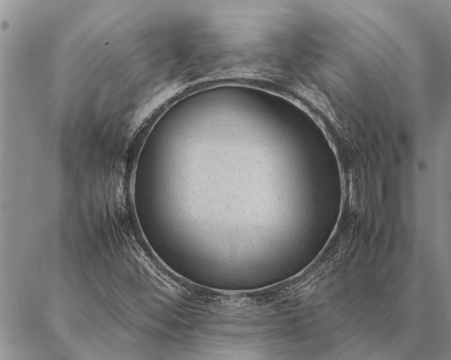 X0000086891452200704231116