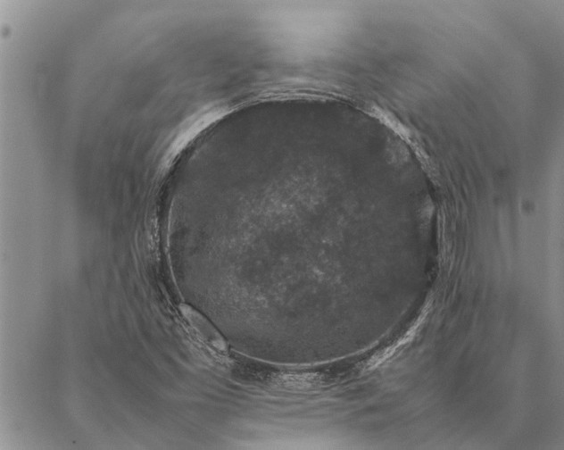 X0000086891453200704231116