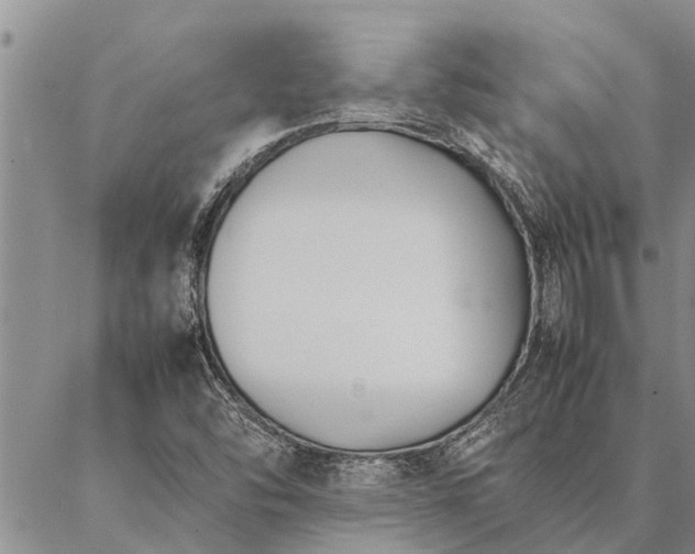 X0000086891454200704231116