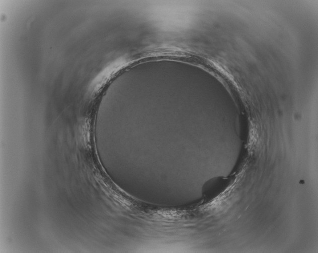 X0000086891455200704231116