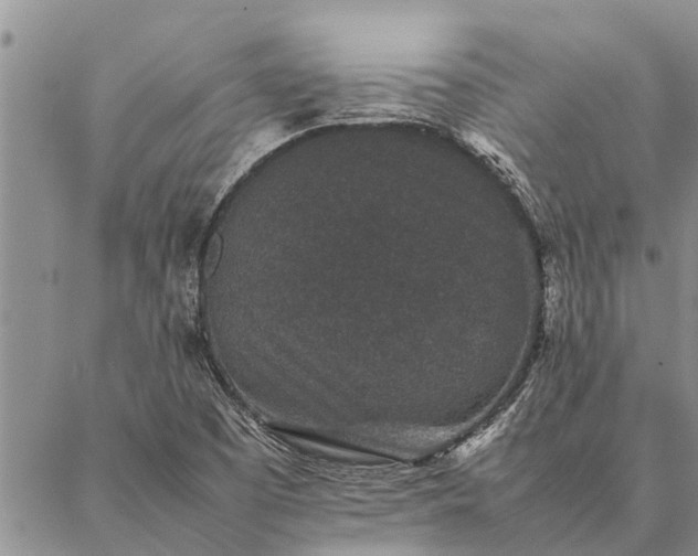 X0000086891457200704231116