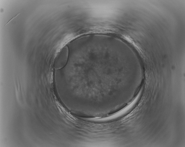 X0000086891459200704231116