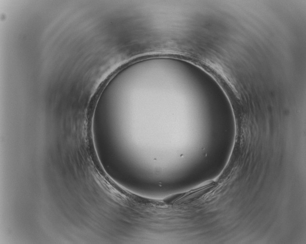 X0000086891460200704231116