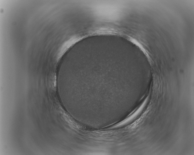 X0000086891461200704231116