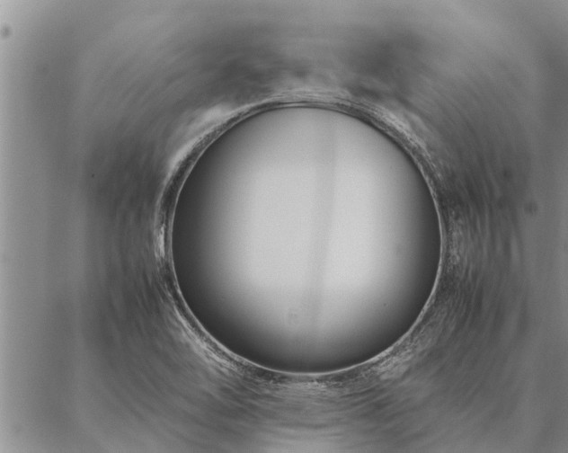 X0000086891462200704231116