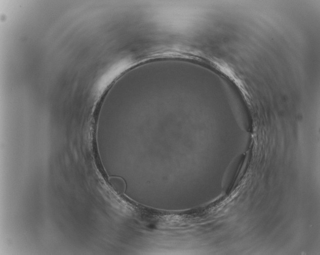 X0000086891463200704231116