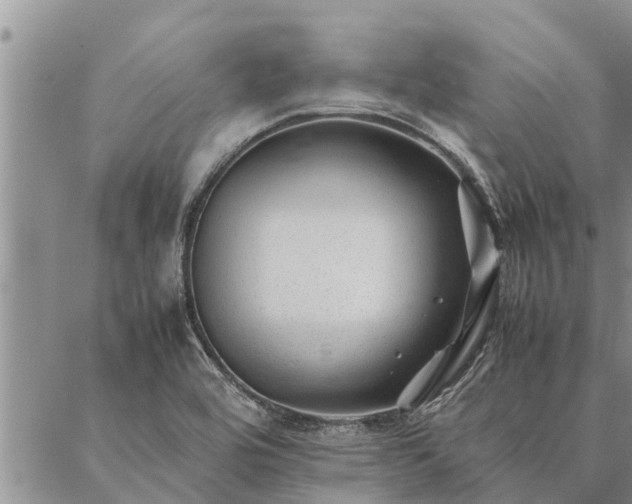 X0000086891464200704231116