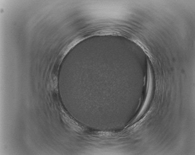 X0000086891465200704231116