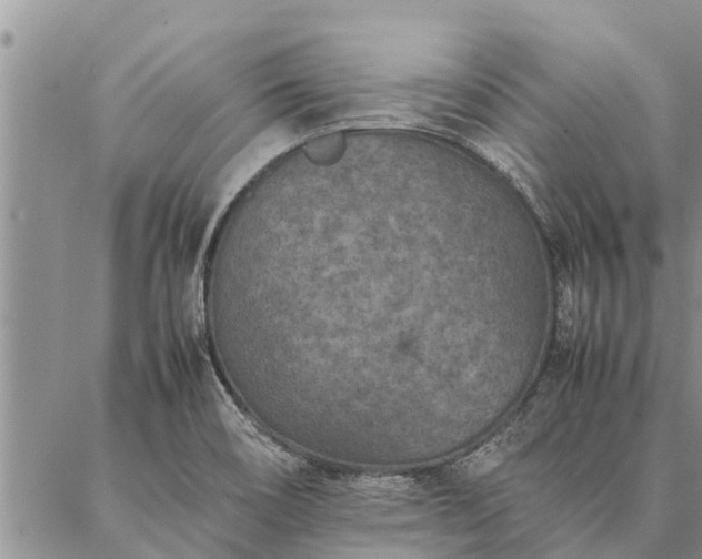 X0000086891466200704231116