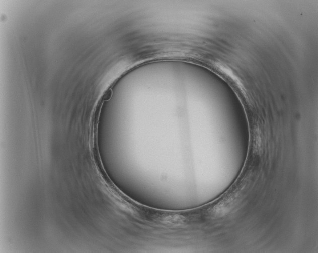 X0000086891467200704231116