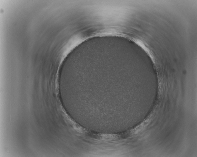 X0000086891469200704231116