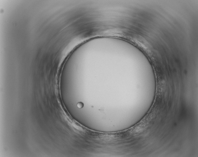 X0000086891470200704231116