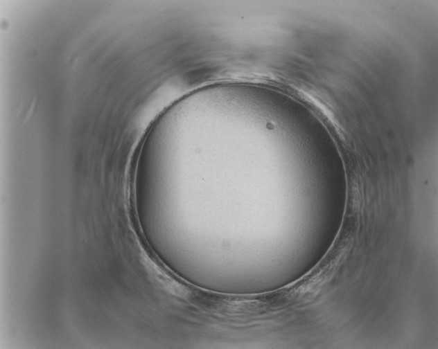 X0000086891471200704231116