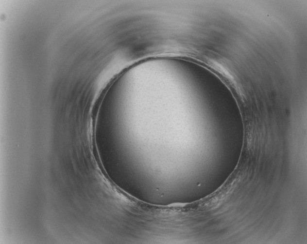 X0000086891472200704231116