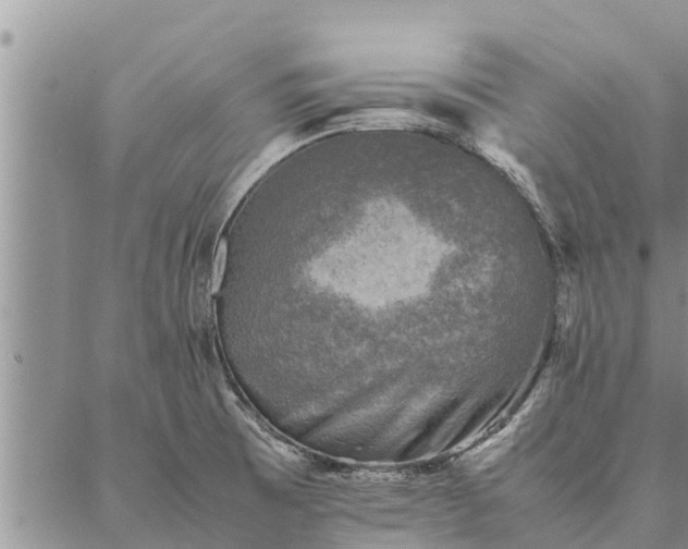 X0000086891473200704231116