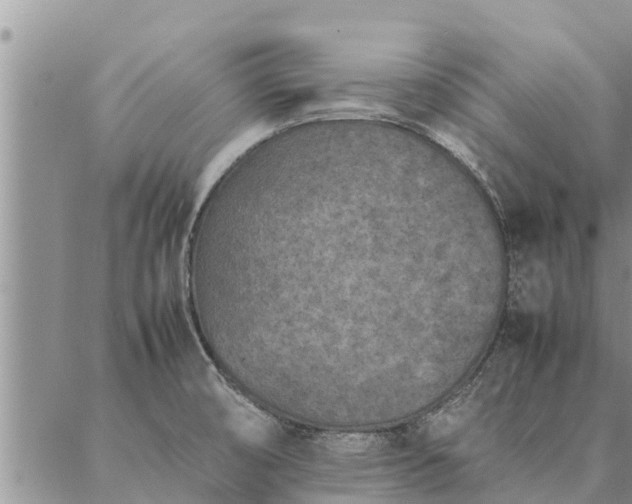 X0000086891474200704231116