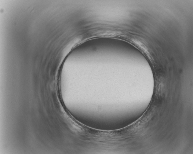 X0000086891475200704231115