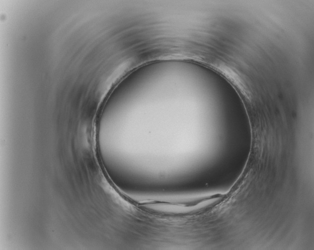 X0000086891476200704231115