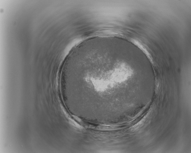 X0000086891477200704231115