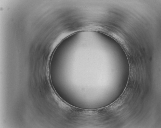 X0000086891478200704231115