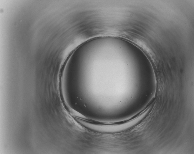 X0000086891480200704231115