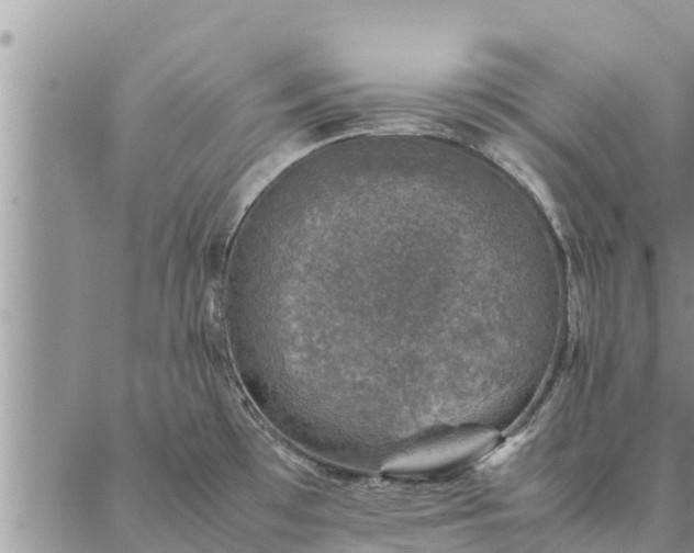 X0000086891481200704231115