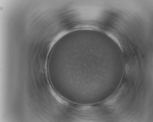 X0000086891482200704231115