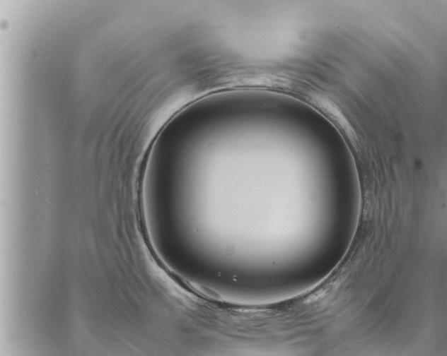 X0000086891483200704231115