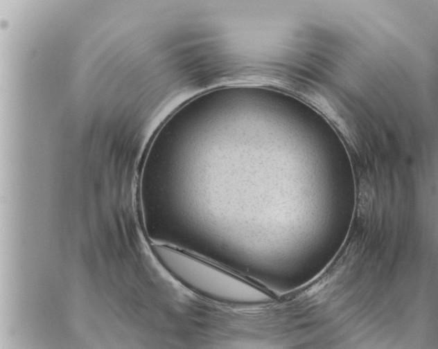 X0000086891484200704231115