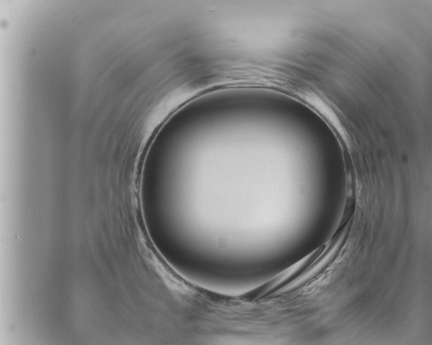 X0000086891485200704231115