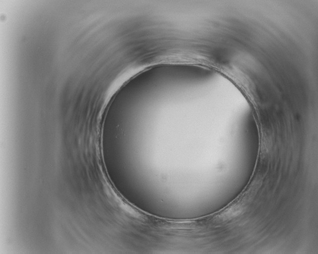 X0000086891486200704231115