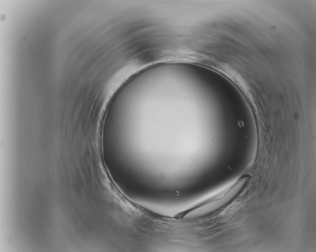 X0000086891488200704231115