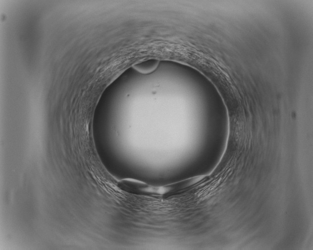 X0000086891489200704231114