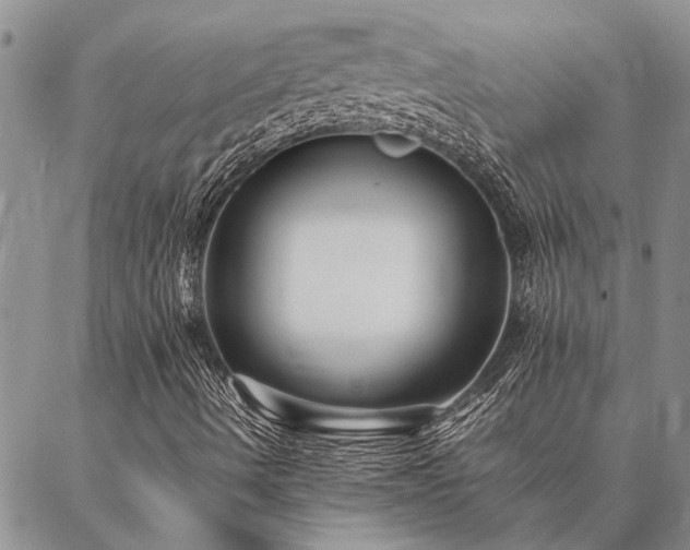 X0000086891490200704231115