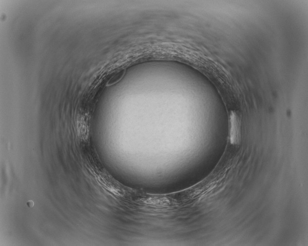 X0000086891491200704231115