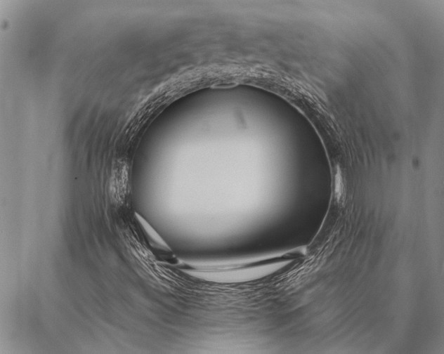 X0000086891492200704231115