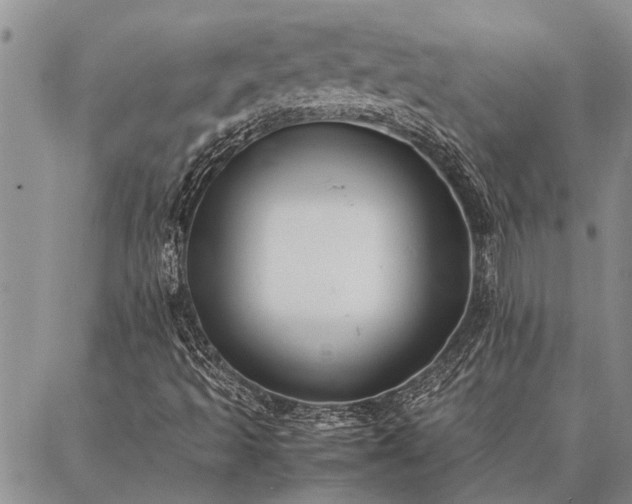 X0000086891493200704231115