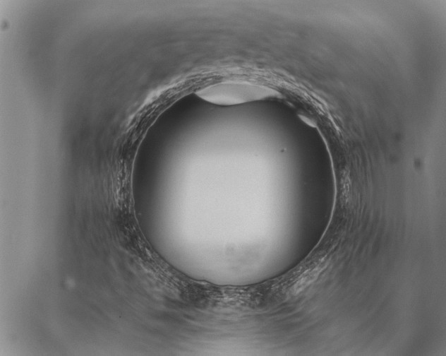 X0000086891494200704231115