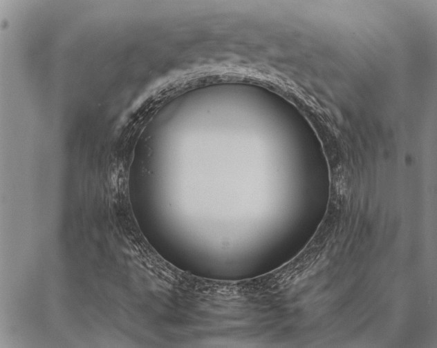 X0000086891495200704231115