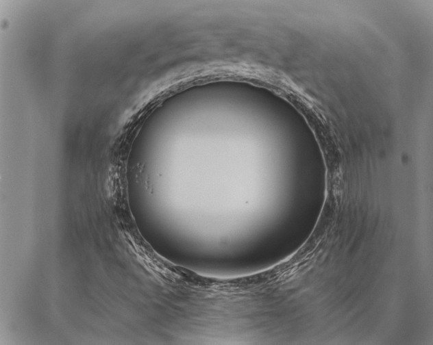 X0000086891496200704231115