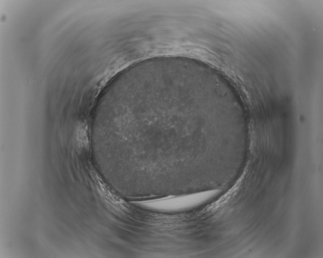 X0000086891497200704231115