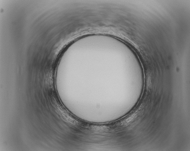 X0000086891498200704231115