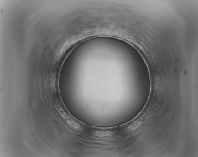 X0000086891499200704231115