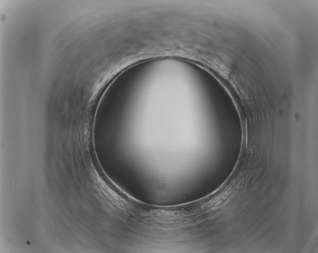 X0000086891500200704231115